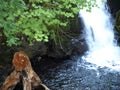 A Waterfall Flowing into a Pool with Greenery in the Backround