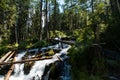 The waterfall noisily rushes down from the high mountains of Altai