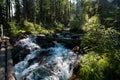 The waterfall noisily rushes down from the high mountains of Altai Royalty Free Stock Photo