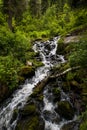 The waterfall noisily rushes down from the high mountains of Altai