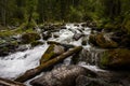 The waterfall noisily rushes down from the high mountains of Altai