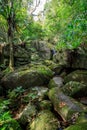 Waterfall in Nosy Mangabe, Madagascar wilderness Royalty Free Stock Photo