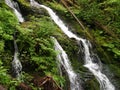 Waterfall in Olympic Forest, Washington State, USA Royalty Free Stock Photo