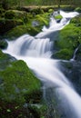 Waterfall, Olympic Ntl. Park