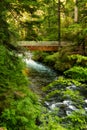 A Bridge over a Waterfall in Oregon Forest in the Cascades Royalty Free Stock Photo