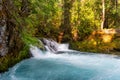 Waterfall in Oregon Forest in the Cascades Royalty Free Stock Photo