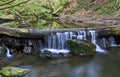 Waterfall over fallen tree, May Beck River near Falling Foss Royalty Free Stock Photo