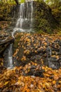 Waterfall over lush greens and golden fall foliage Royalty Free Stock Photo