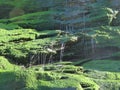 Waterfall over mossy rocks Royalty Free Stock Photo