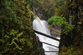 Waterfall in Pacific Rim National Park. Royalty Free Stock Photo