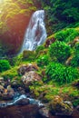 Waterfall at  Parque Natural Da Ribeira Dos Caldeiroes, Sao Miguel, Azores, Portugal. Beautiful waterfall surrounded with Royalty Free Stock Photo