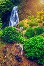 Waterfall at  Parque Natural Da Ribeira Dos Caldeiroes, Sao Miguel, Azores, Portugal. Beautiful waterfall surrounded with Royalty Free Stock Photo