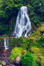 Waterfall at  Parque Natural Da Ribeira Dos Caldeiroes, Sao Miguel, Azores, Portugal. Beautiful waterfall surrounded with Royalty Free Stock Photo