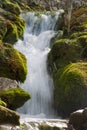 Waterfall at Plitvicka Jezera - Plitvice Royalty Free Stock Photo