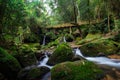 Sacred waterfall of Buraco do Padre Royalty Free Stock Photo
