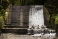 Waterfall in the Rain Forest Royalty Free Stock Photo