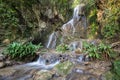 Waterfall in the rain forest Royalty Free Stock Photo