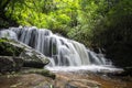 Waterfall in rain forest