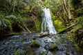 Waterfall in rain forest, Olympic national Park Royalty Free Stock Photo