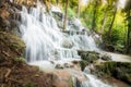 Waterfall in the Rain Forest