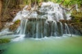 Waterfall in the Rain Forest Royalty Free Stock Photo