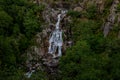 Waterfall in the Rain Forest. Tree fern waterfall tropical rain forest paradise. Fervenza de CasariÃ±os.. Fervenza da Freixa