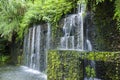 Waterfall in the Rain Forest Royalty Free Stock Photo