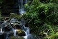 The waterfall of rainbow springs