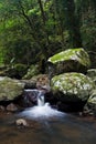 Waterfall in Rainforest