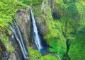 Waterfall in rainforest. Royalty Free Stock Photo