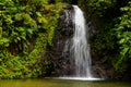 Waterfall in the rainforest of Martinique Royalty Free Stock Photo