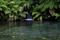 Waterfall in the rainforest, New Zealand