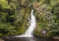 Waterfall in rainforest in New Zealand Royalty Free Stock Photo