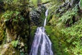 Waterfall in rainforest, New Zealand Royalty Free Stock Photo