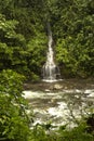 Waterfall in the rainforests of Mindo.