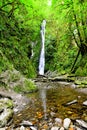 Waterfall in the rainforests Vancouver Island, Canada Royalty Free Stock Photo