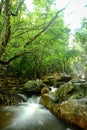 Waterfall and rainforrest