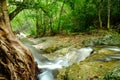 Waterfall and rainforrest Royalty Free Stock Photo