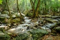 Waterfall and rainforrest