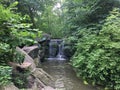 Waterfall in Ravine, Stream Valley Section of North Woods in Central Park in Summer in Manhattan, New York, NY.