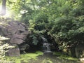 Waterfall in Ravine, Stream Valley Section of North Woods in Central Park in Summer in Manhattan, New York, NY.