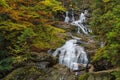 Waterfall Riesloch, wooded rock massif, Bodenmais, national park Bavarian Forest