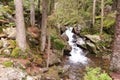 Waterfall RieslochfÃ¤lle in Bavarian Forest near Bodenmais, Germany