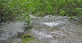 Waterfall, River, Krka Natural Park, Near Sibenik in Damaltia, Croatia