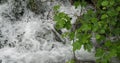 Waterfall, River, Krka Natural Park, Near Sibenik in Damaltia, Croatia