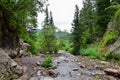 Waterfall and river stream Mountain views from hiking trails to Doughnut Falls in Big Cottonwood Canyon, in the Wasatch front Rock