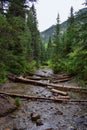 Waterfall and river stream Mountain views from hiking trails to Doughnut Falls in Big Cottonwood Canyon, in the Wasatch front Rock