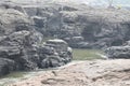 Waterfall with rock bed River Side