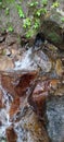 Waterfall with rock view and smal leaves in forest.