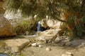 Waterfall in the rocks of Ein Gedi Dead Sea Royalty Free Stock Photo